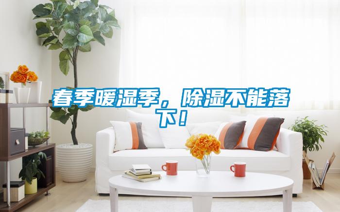 春季暖濕季，除濕不能落下！
