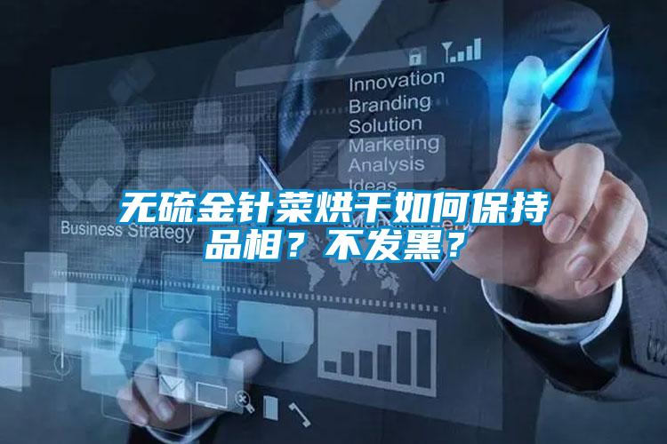 無硫金針菜烘干如何保持品相？不發(fā)黑？