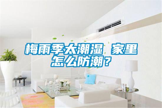 梅雨季太潮濕 家里怎么防潮？