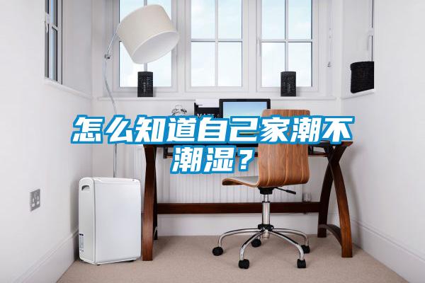 怎么知道自己家潮不潮濕？