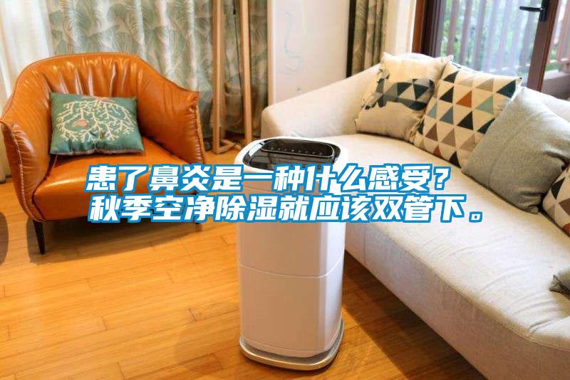患了鼻炎是一種什么感受？ 秋季空凈除濕就應該雙管下。