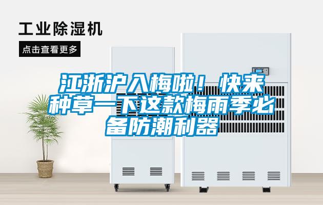 江浙滬入梅啦！快來種草一下這款梅雨季必備防潮利器