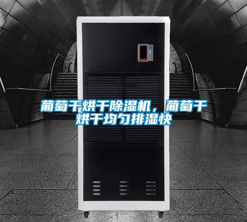 葡萄干烘干除濕機，葡萄干烘干均勻排濕快