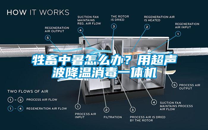 牲畜中暑怎么辦？用超聲波降溫消毒一體機