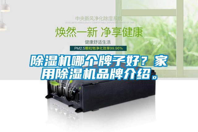 除濕機哪個牌子好？家用除濕機品牌介紹。
