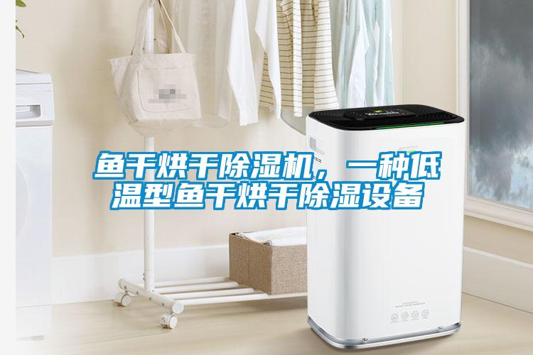 魚干烘干除濕機(jī)，一種低溫型魚干烘干除濕設(shè)備