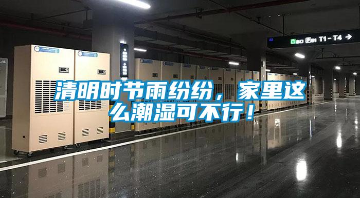 清明時節(jié)雨紛紛，家里這么潮濕可不行！