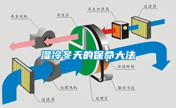 濕冷冬天的保命大法