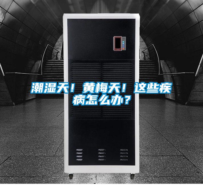 潮濕天！黃梅天！這些疾病怎么辦？