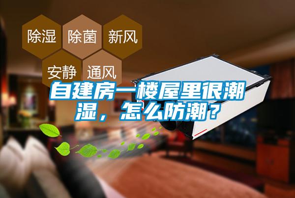 自建房一樓屋里很潮濕，怎么防潮？