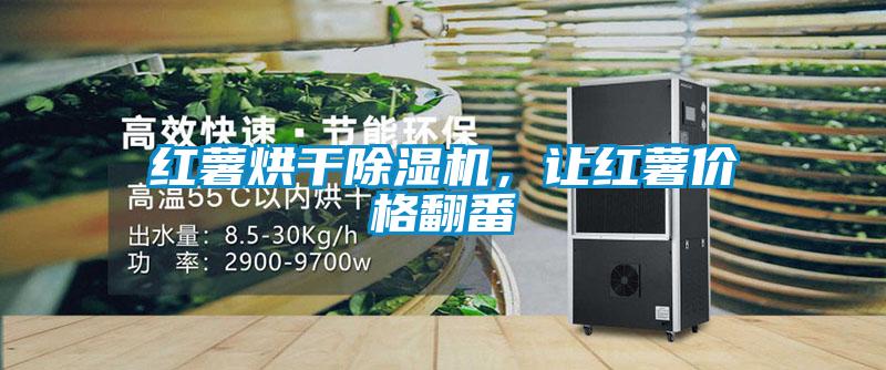 紅薯烘干除濕機(jī)，讓紅薯價格翻番