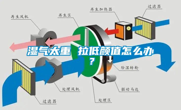 濕氣太重 拉低顏值怎么辦？