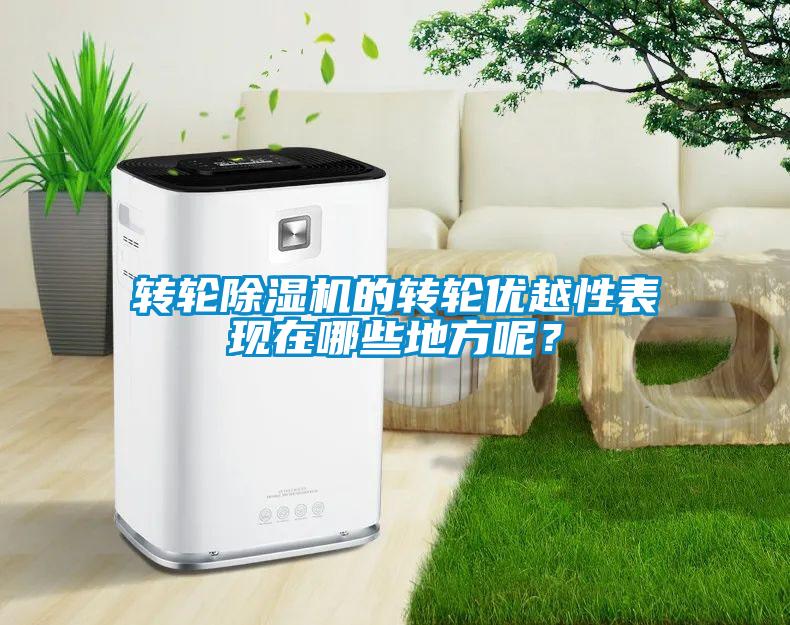 轉(zhuǎn)輪除濕機的轉(zhuǎn)輪優(yōu)越性表現(xiàn)在哪些地方呢？