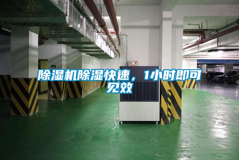 除濕機(jī)除濕快速，1小時(shí)即可見效