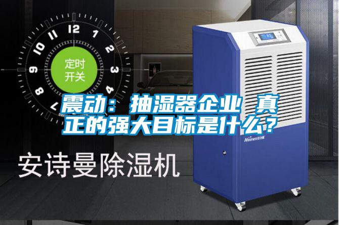 震動：抽濕器企業(yè) 真正的強大目標是什么？