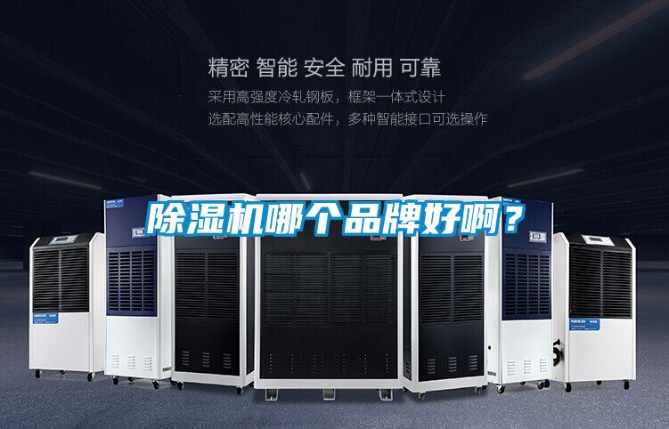 除濕機哪個品牌好?。?/></p>
						    <p style=