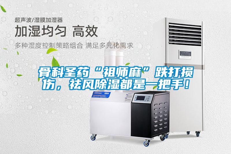 骨科圣藥“祖師麻”跌打損傷，祛風(fēng)除濕都是一把手！