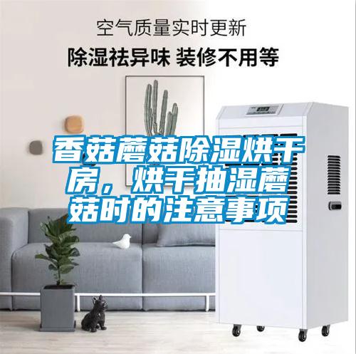 香菇蘑菇除濕烘干房，烘干抽濕蘑菇時的注意事項