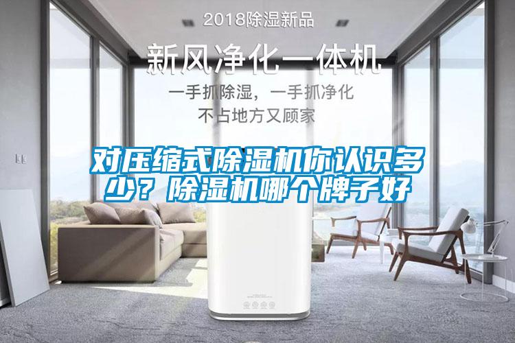 對(duì)壓縮式除濕機(jī)你認(rèn)識(shí)多少？除濕機(jī)哪個(gè)牌子好
