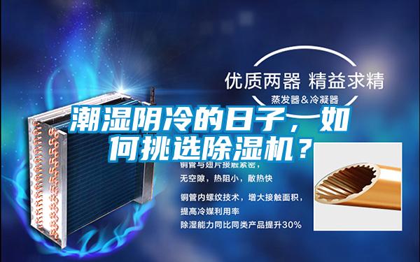 潮濕陰冷的日子，如何挑選除濕機？