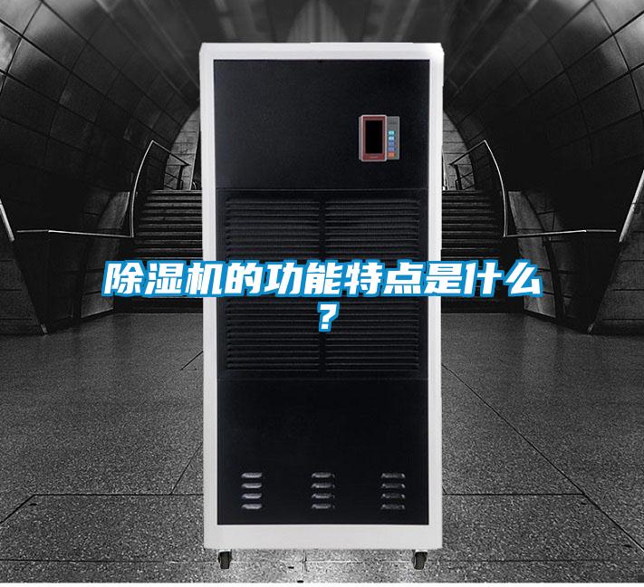 除濕機(jī)的功能特點(diǎn)是什么？