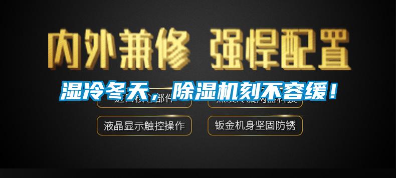 濕冷冬天，除濕機刻不容緩！