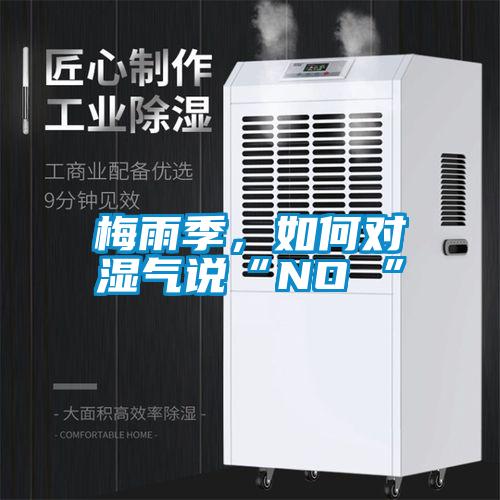 梅雨季，如何對(duì)濕氣說“NO ”