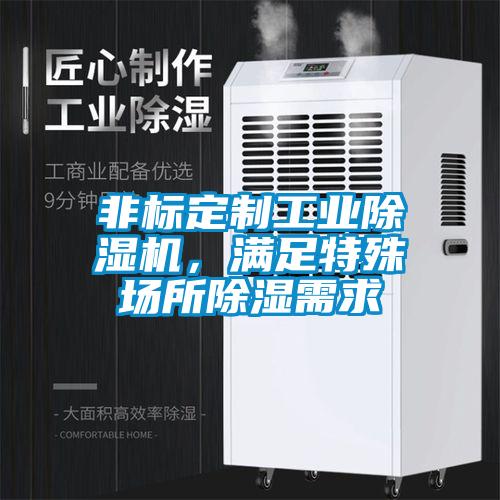 非標(biāo)定制工業(yè)除濕機(jī)，滿足特殊場(chǎng)所除濕需求