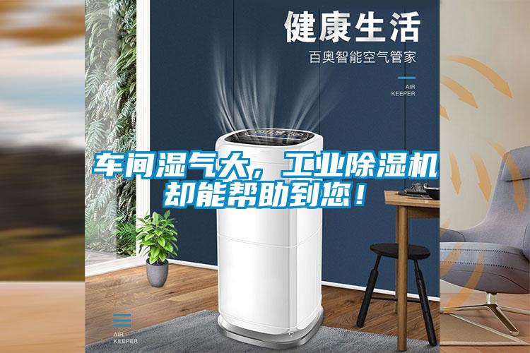 車間濕氣大，工業(yè)除濕機卻能幫助到您！