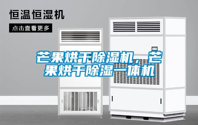芒果烘干除濕機(jī)，芒果烘干除濕一體機(jī)