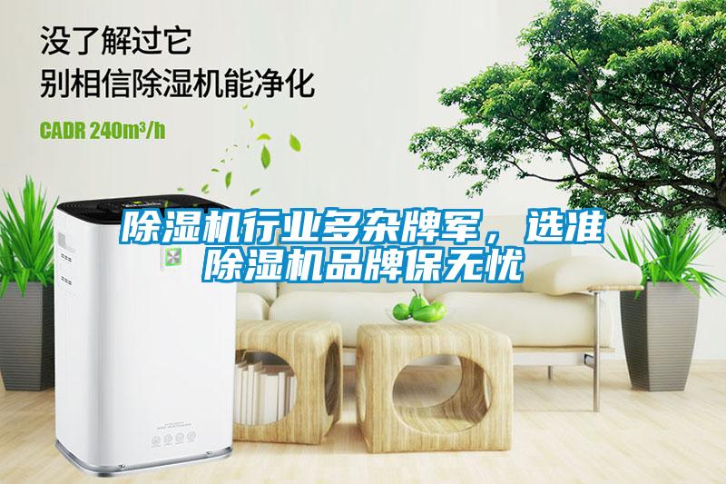 除濕機(jī)行業(yè)多雜牌軍，選準(zhǔn)除濕機(jī)品牌保無(wú)憂(yōu)