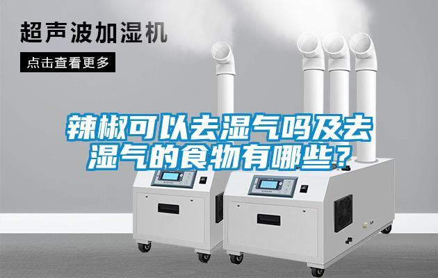 辣椒可以去濕氣嗎及去濕氣的食物有哪些？