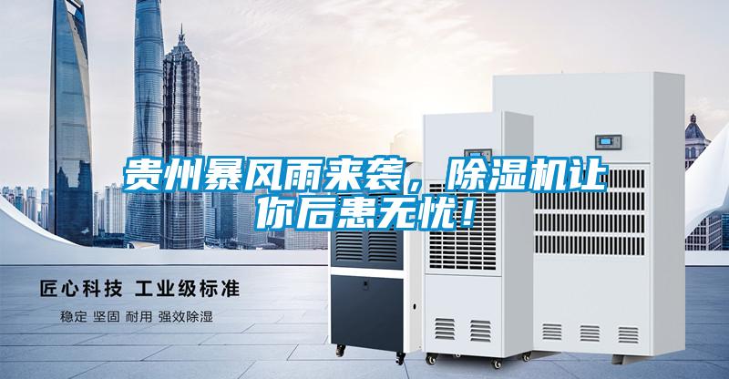 貴州暴風(fēng)雨來(lái)襲，除濕機(jī)讓你后患無(wú)憂！