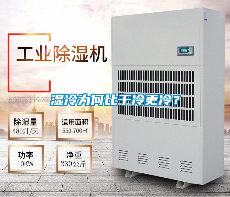 濕冷為何比干冷更冷？