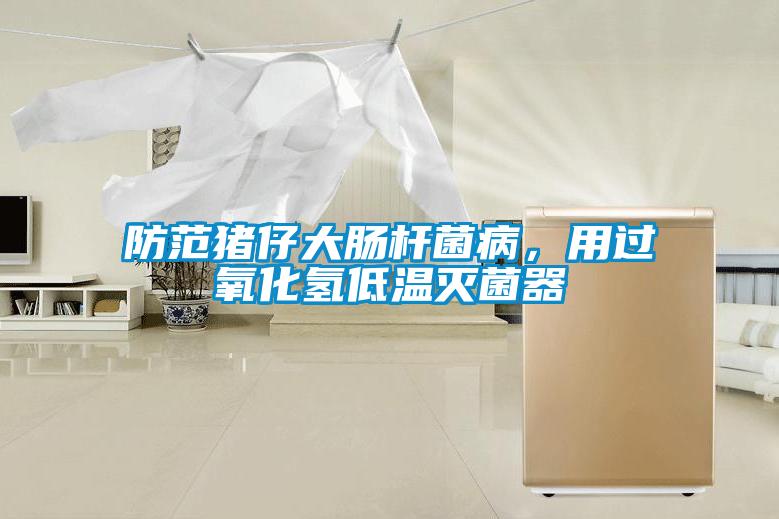 防范豬仔大腸桿菌病，用過(guò)氧化氫低溫滅菌器