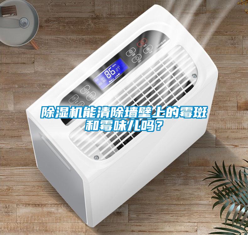 除濕機(jī)能清除墻壁上的霉斑和霉味兒?jiǎn)幔?/></p>
						    <p style=
