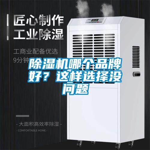 除濕機(jī)哪個(gè)品牌好？這樣選擇沒問題