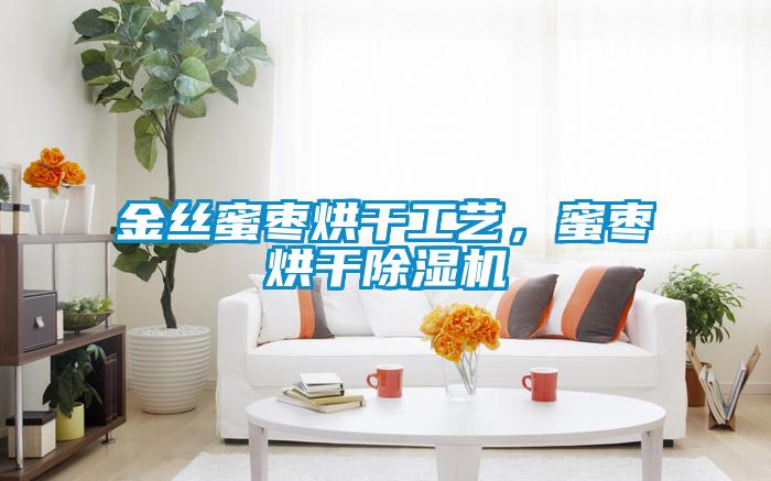 金絲蜜棗烘干工藝，蜜棗烘干除濕機