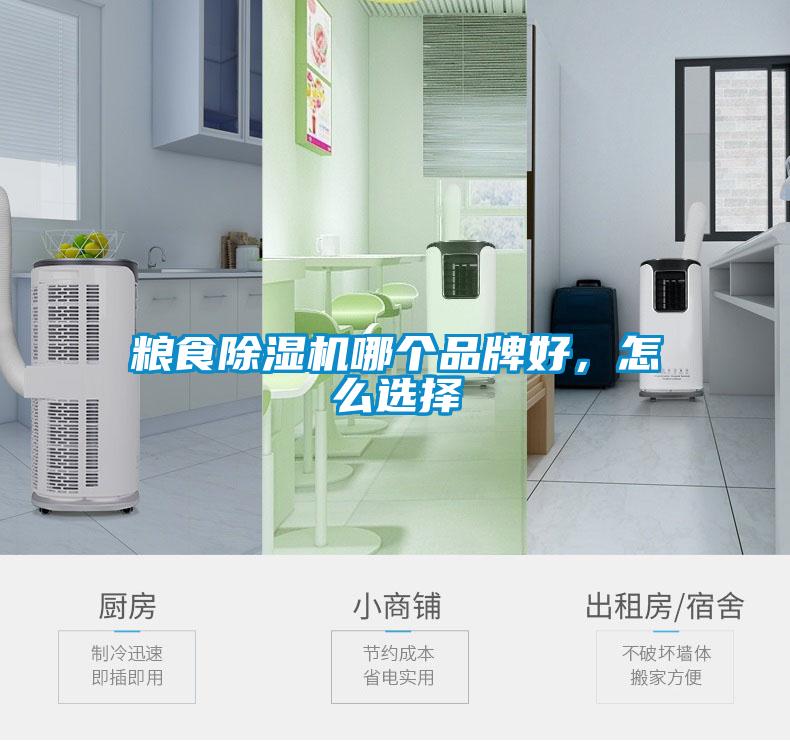 糧食除濕機哪個品牌好，怎么選擇