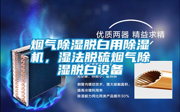 煙氣除濕脫白用除濕機，濕法脫硫煙氣除濕脫白設備