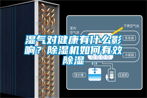 濕氣對健康有什么影響？除濕機(jī)如何有效除濕