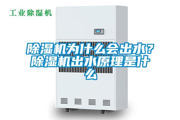 除濕機(jī)為什么會出水？除濕機(jī)出水原理是什么