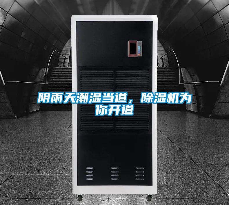陰雨天潮濕當?shù)?，除濕機為你開道