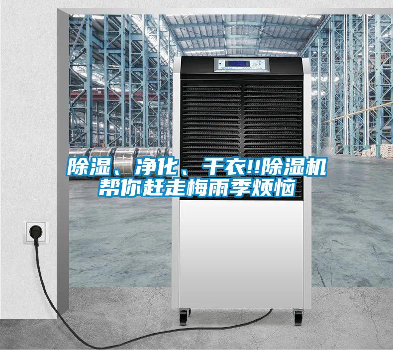除濕、凈化、干衣!!除濕機幫你趕走梅雨季煩惱