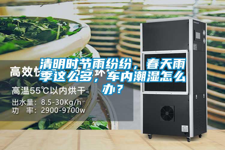 清明時節(jié)雨紛紛，春天雨季這么多，車內(nèi)潮濕怎么辦？