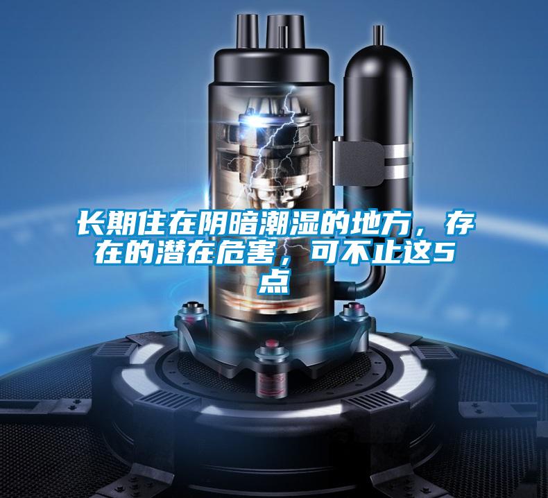長期住在陰暗潮濕的地方，存在的潛在危害，可不止這5點