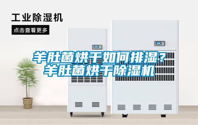 羊肚菌烘干如何排濕？羊肚菌烘干除濕機(jī)
