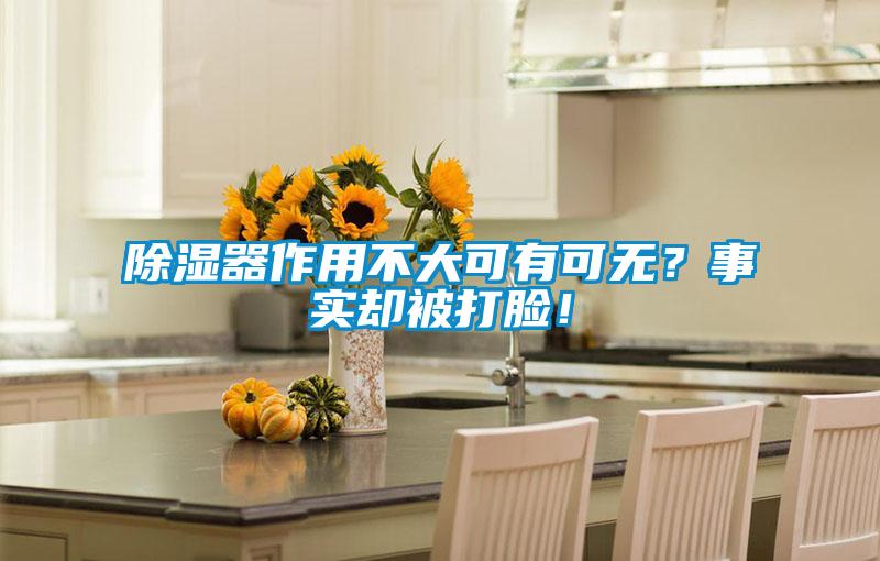 除濕器作用不大可有可無？事實(shí)卻被打臉！