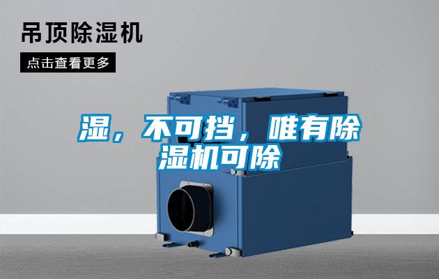 濕，不可擋，唯有除濕機可除