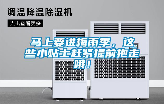 馬上要進(jìn)梅雨季，這些小貼士趕緊提前抱走哦！